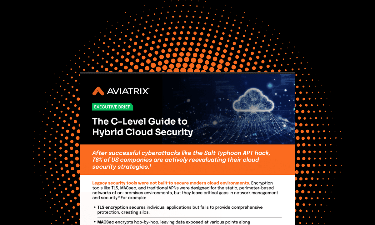 The C-Level Guide to Hybrid Cloud Security
