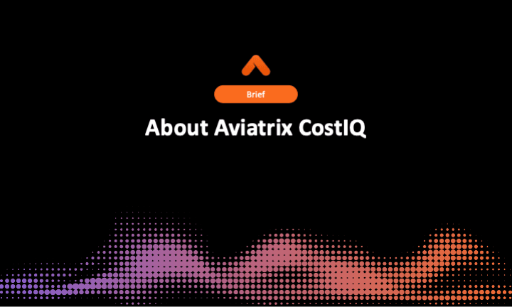 About Aviatrix CostIQ