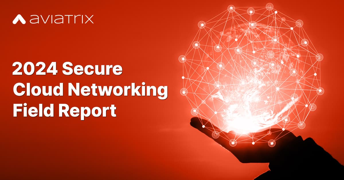 2024-SCN_Field_Report_social